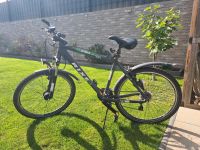 Rixe Outback 2.0, ATB, Fahrrad, Mountainbike 26", 21 Gänge Nordrhein-Westfalen - Warburg Vorschau