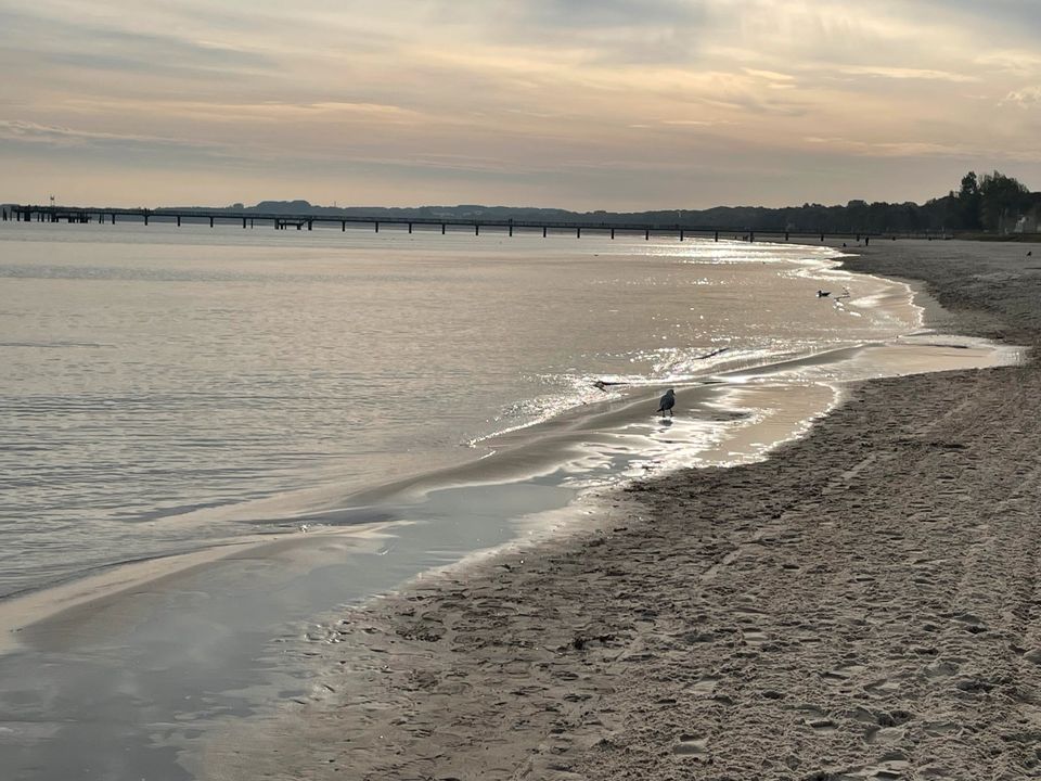 Urlaub-  Restplätze im Sommer Ostsee- Boltenhagen in Boltenhagen