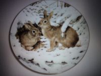 The Forest Year" Rabbits in the January Snow"1983 Baden-Württemberg - Hausen Vorschau