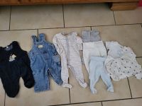 Paket 54: 50-56 Baby Strampler Body Schlafanzug Hose Rheinland-Pfalz - Weyerbusch Vorschau