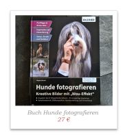 Hunde fotografieren von Regine Heuser Nordrhein-Westfalen - Wermelskirchen Vorschau