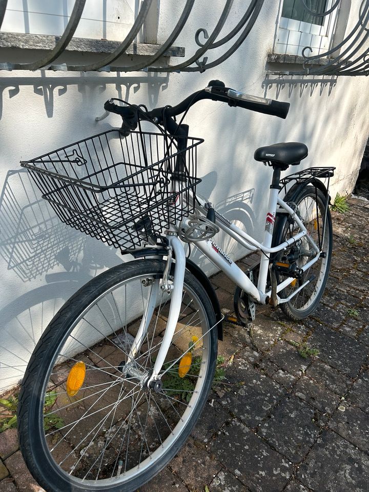 Fahrrad, Citybike , Damenrad in Montabaur