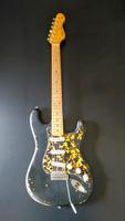 Vintage V6 Icon Black V6MR-BK schwarz Strat Relic SH-1B Hotrail Baden-Württemberg - Mannheim Vorschau