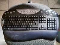 Logitech Tastatur Bayern - Altdorf bei Nürnberg Vorschau