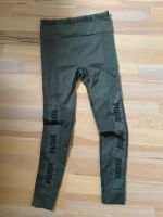 Puma leggins Nordrhein-Westfalen - Lippetal Vorschau