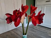 Kunstblume Amaryllis rot 3 Stiele Hessen - Dreieich Vorschau