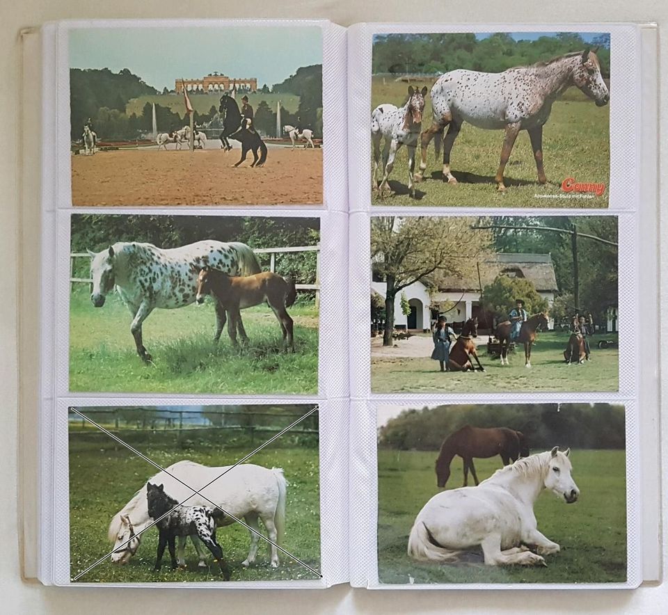 Pferdepostkarten in Gelsenkirchen