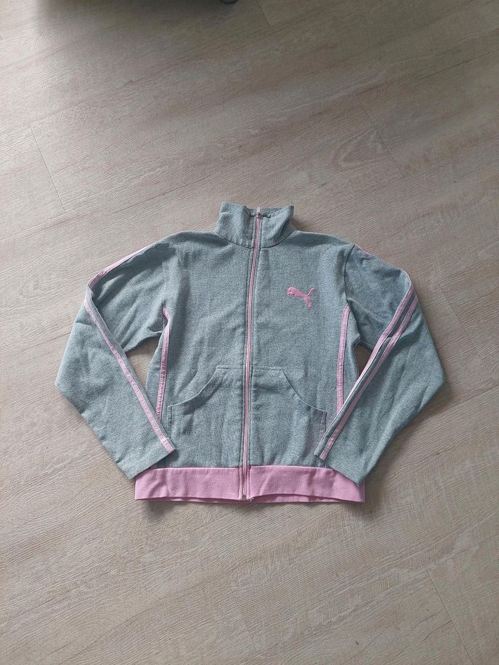 Puma Jacke☆ Sweatjacke☆ Gr.S☆ grau in Bispingen