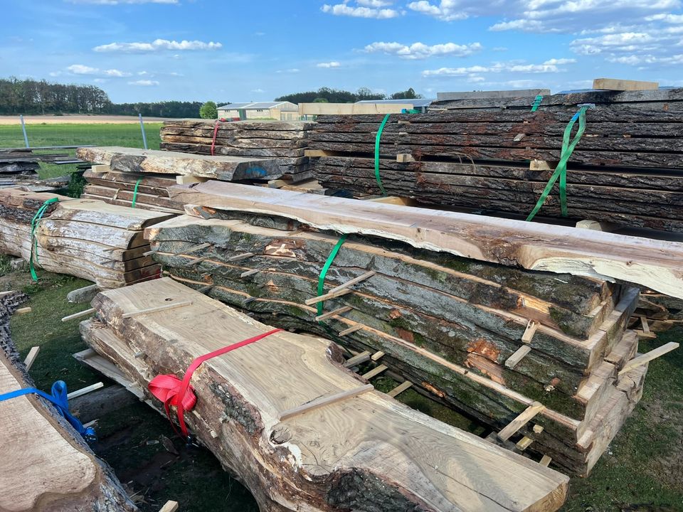 Buchenbohlen Tischplatten XXL Tabletops Holzplatten Monolith in Schlieben