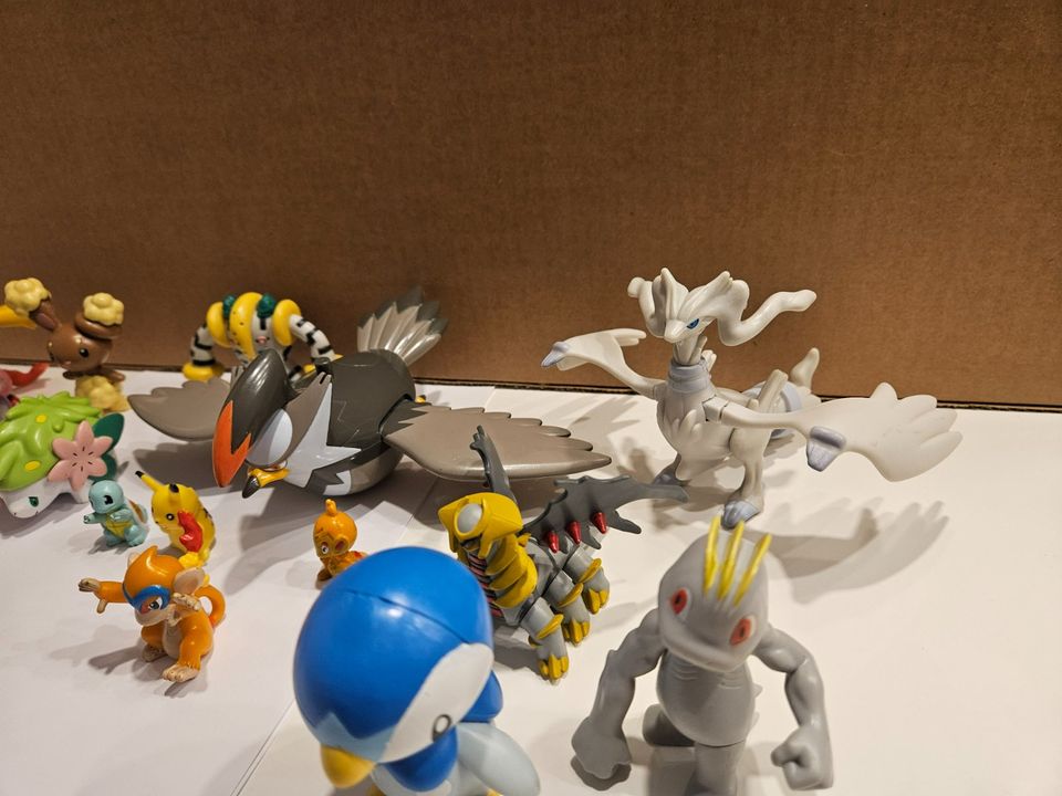 Pokemon Konvolut in Kamen