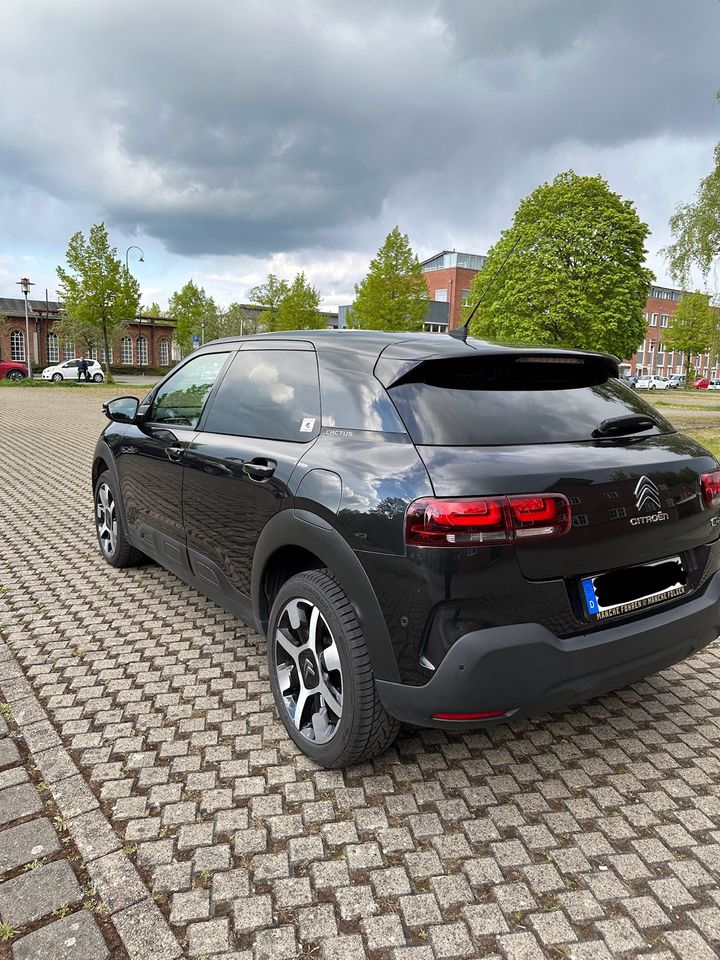 Citroen C4 Cactus Shine in Delmenhorst