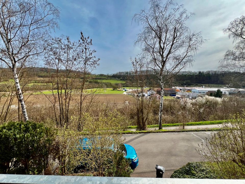 Roigheim - gepflegte 3-Zimmer Wohnung mit Balkon, Terrasse und Garage in Roigheim