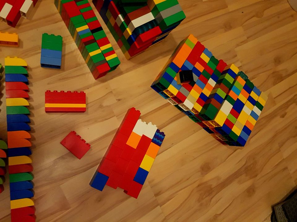 Lego Duplo Konvolut in Auetal
