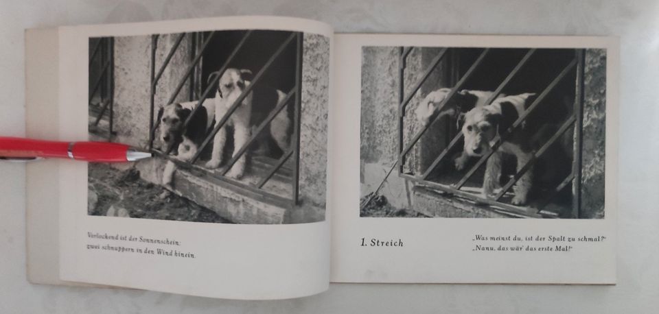 Bimbo und Bambo Zwei fidele Hundeseelen altes Kinderbuch v. 1936 in Möser