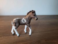 Schleich 13709 - Island Pony Fohlen Altona - Hamburg Rissen Vorschau