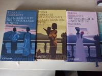 Elena Ferrante buchpaket Bestseller spiegel Italien klassiker Rheinland-Pfalz - Mainz Vorschau