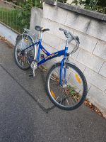 Fahrrad..26.zoll Baden-Württemberg - Emmendingen Vorschau