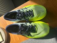 Asics Metaspeed Sky+ (39,5) Münster (Westfalen) - Gievenbeck Vorschau