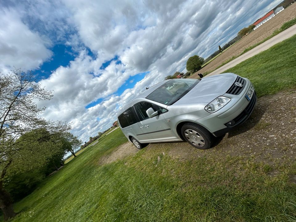 Vw Caddy Maxi  7 Sitze Zahnriemen Bremsen neu  TÜV 9/25 Grossraum in Fridolfing