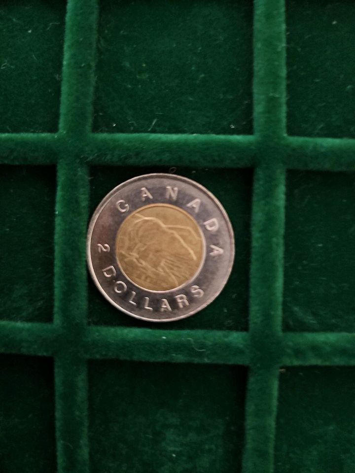 Canada Dollar in Würzburg