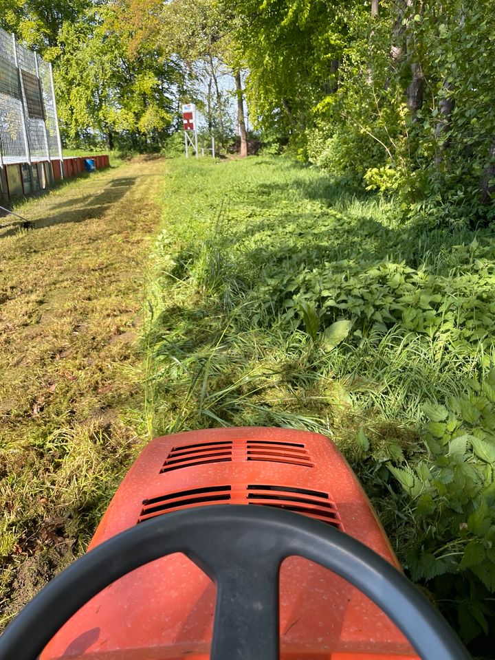 Hecken schneiden /Rasen mähen in Pattensen