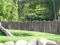 Knüppelholz Kastanie Gartenholz Gartenbau Spielplatz Kletterturm Bayern - Straubing Vorschau