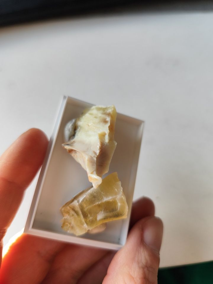 MEGA 2x Honigopal Opal Mineralien MineralSteine Edelsteine in Creußen