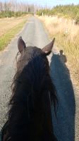 Reitgesellschaft Nähe Bottenhorn Hessen - Gladenbach Vorschau