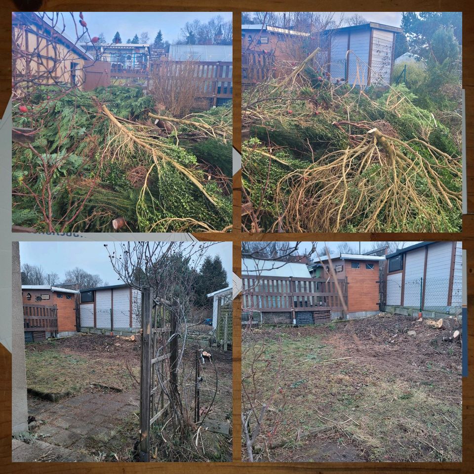 Gartenberäumungen - Heckenverschnitt - Hecke Entfernen in Zwickau