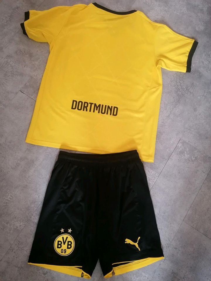 Borussia Dortmund Trikot Hose 164 BVB Shirt Short Top Zustand in Oberhausen