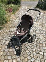 Maxi Cosi Mura Kinderwagen Thüringen - Meuselwitz Vorschau