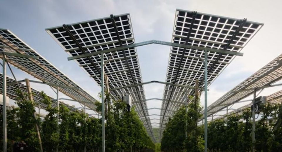 Freiflächen Agrar PV Photovoltaik Ständerwerke Stillegungsfläche in Stemwede