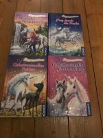 4x Sternenschweif Bücher im Hardcover Dresden - Leuben Vorschau