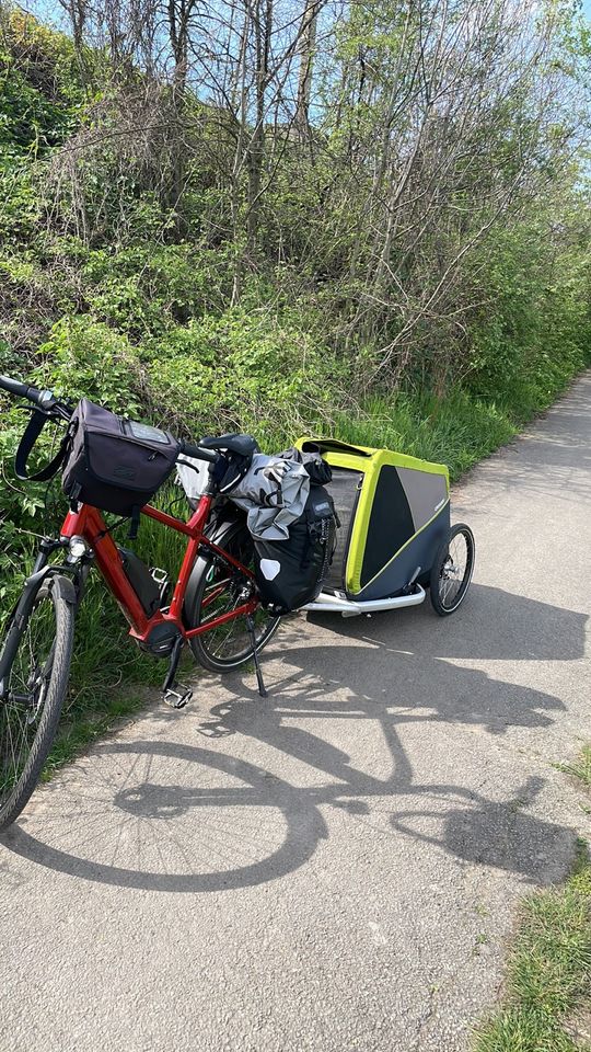 Böttcher e-bike shark in Heideblick-Weißack