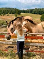 Sommerferien Reitspaß, Reiterferien für M/W/D Rheinland-Pfalz - Walterschen Vorschau