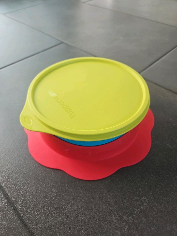 Tupperware Kinderteller Mikrowelle in Baden-Württemberg -  Mühlhausen-Ehingen | eBay Kleinanzeigen ist jetzt Kleinanzeigen