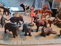 Schleich Tiere Essen - Essen-Katernberg Vorschau