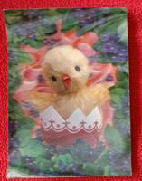 Postkarte in 3D PK 140 CHICK OUT OF SHELL SCHWEIZ Keine DDR Baden-Württemberg - Heilbronn Vorschau