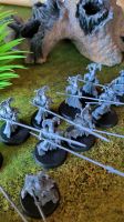 Warhammer Age of Sigmar Vanari Auralan Wardens Bayern - Bamberg Vorschau