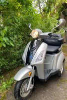 Elektro-Scooter mit 3 Rädern Sachsen-Anhalt - Thale Vorschau