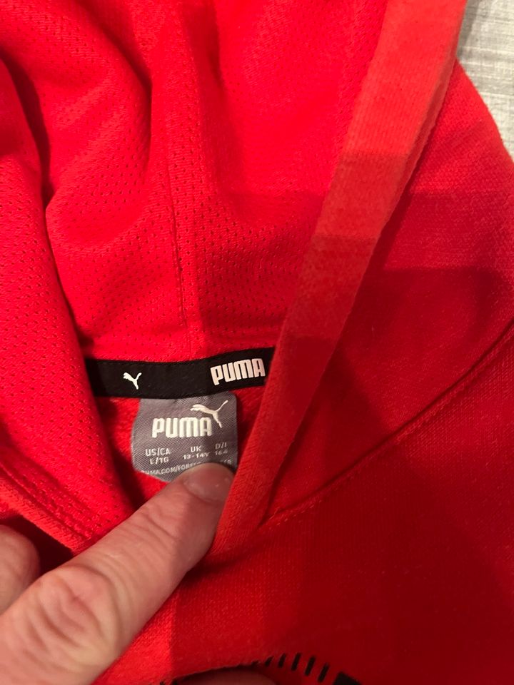 Puma Hoodie - Gr.164 - rot in Großpösna