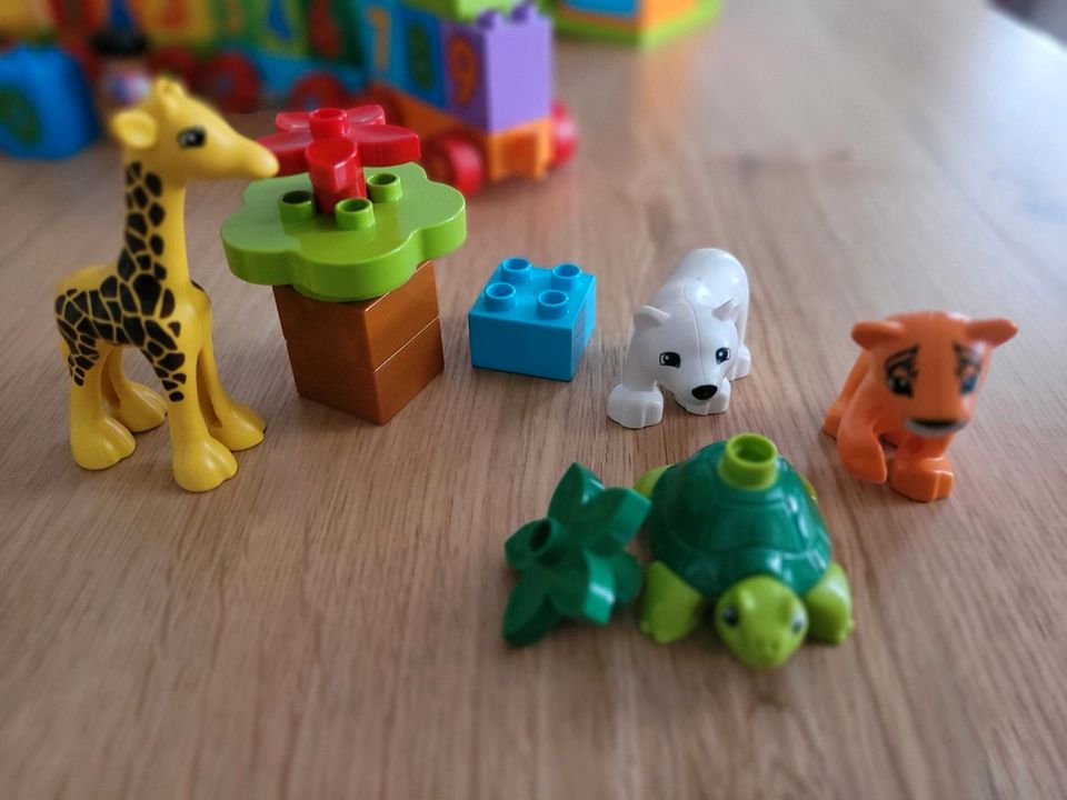 Lego duplo Jungtiere in Leipzig