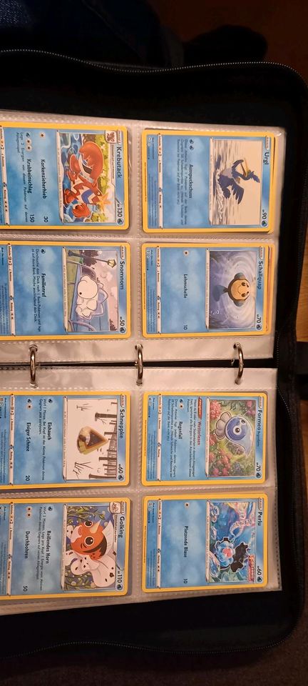 Pokemon Sammlung 100+ Karten in Liederbach