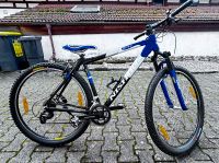 Mountain Bike NISHIKI BIGFOOT TR-29 URBAN-BIKE,sehr guter Zustand Baden-Württemberg - Bühl Vorschau