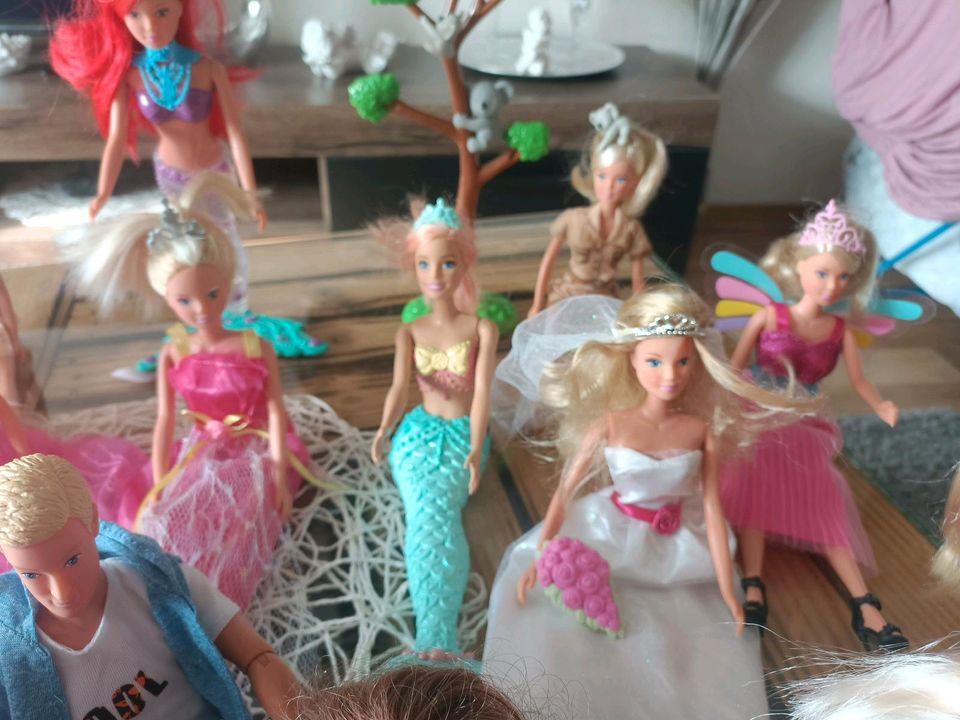 Barbie Sammlung xxl in Wismar