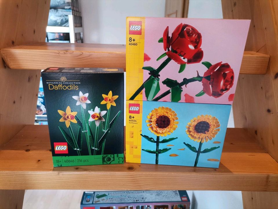 Lego (Händler) Blumen Bundle 40460 /40524 /40646 Neu. in Rochlitz