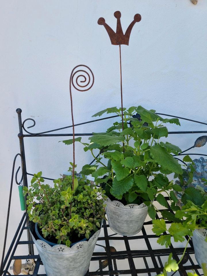 Gartendeko - Rostgarten - Miniblumenstecker in Tuntenhausen