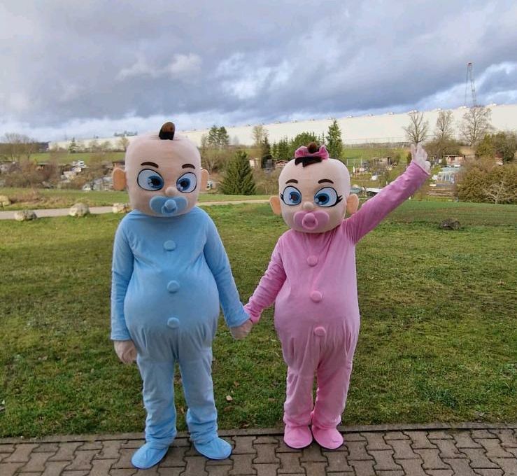 Maskottchen Babys/Kostüme  Gender Reveal Party.Verleih nur 35 €. in Ehingen (Donau)