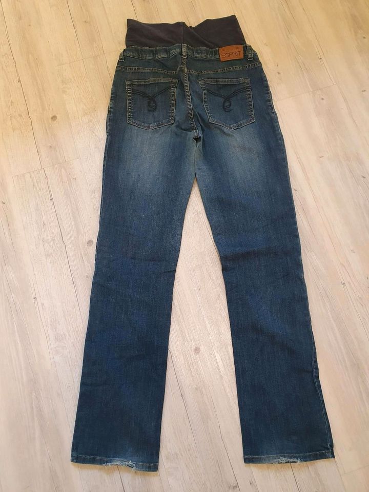 Umstandsjeans / Umstandshose Esprit Größe 40 in Lügde