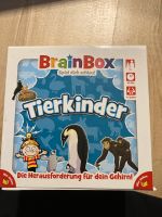Brain Box spiel dich schlau Dresden - Leuben Vorschau